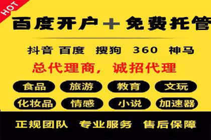 某某SEM公司助力企业快速发展的成功故事